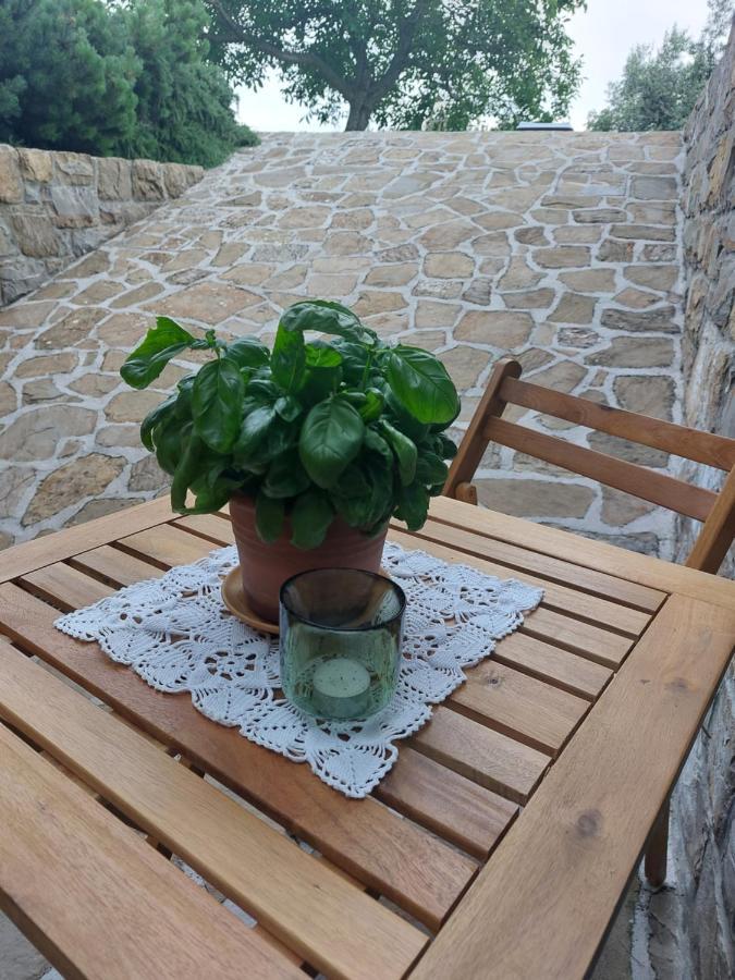 Apartment Kortine Сечовле Экстерьер фото